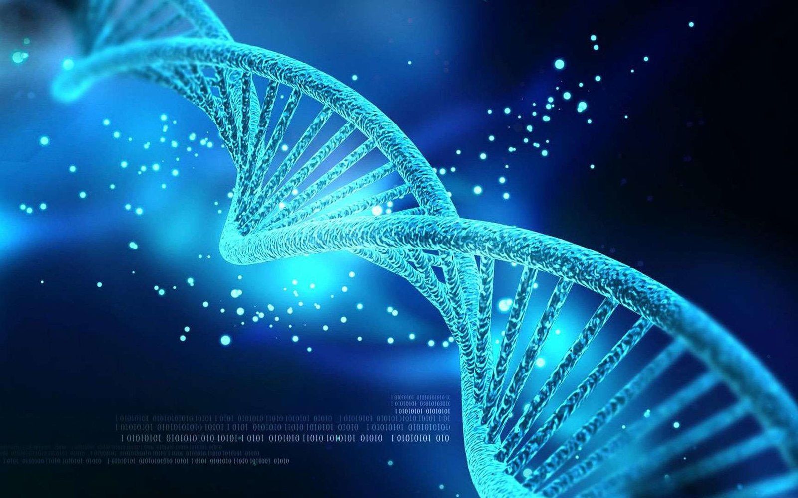 Image d'Enseignement scientifique - ADN
